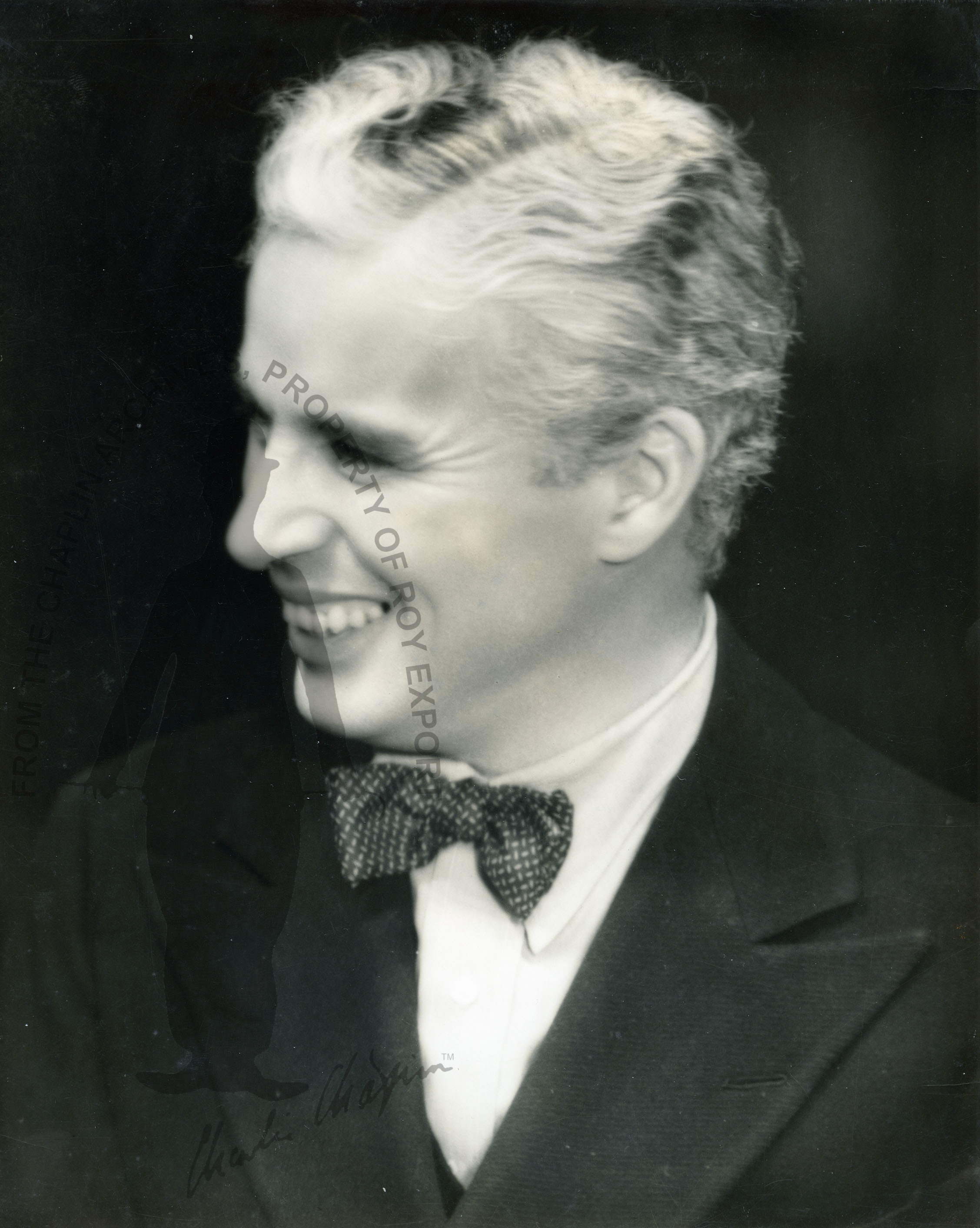 cc_0024bis.jpg