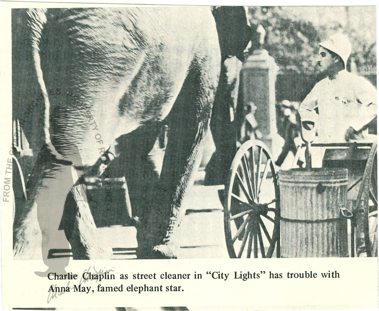 ch16663001.jpg
