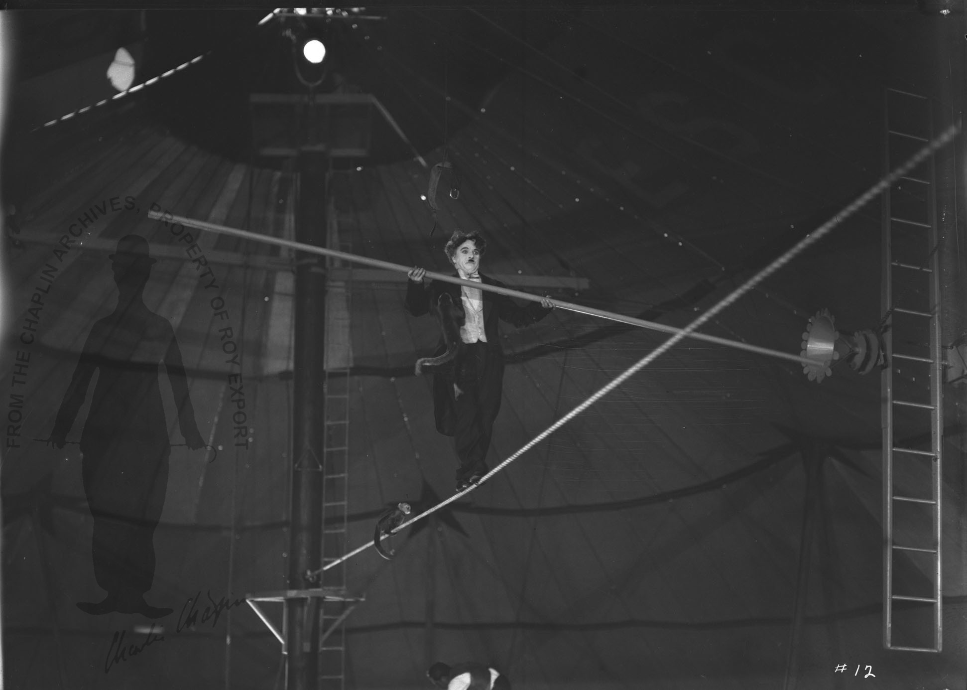 cir_12.jpg