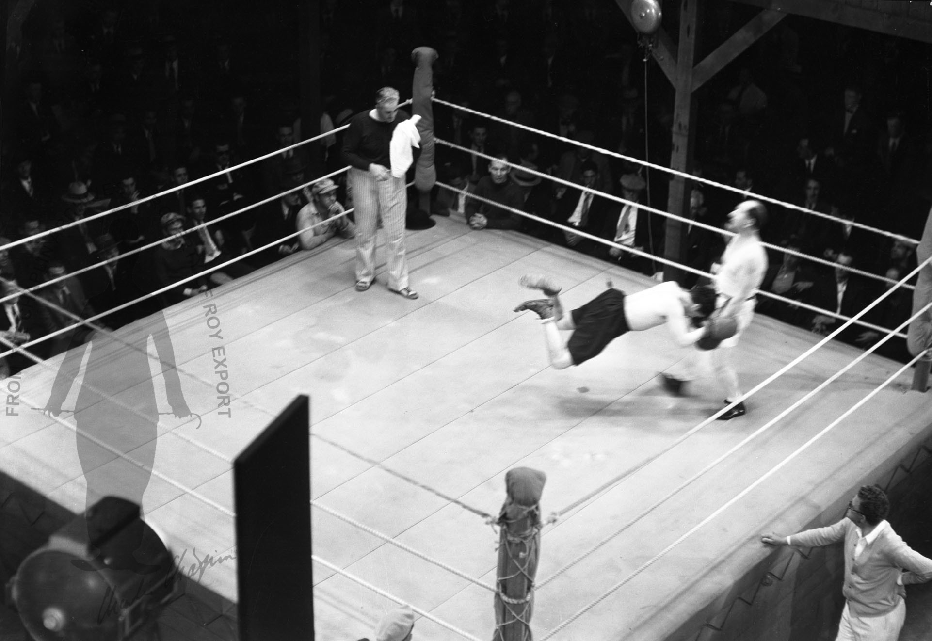 cl_0195.jpg