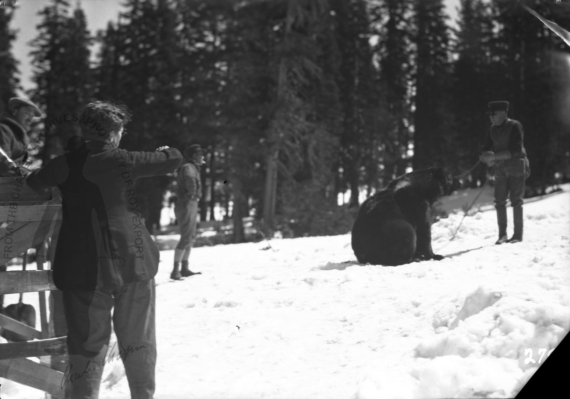 gr_0039.jpg