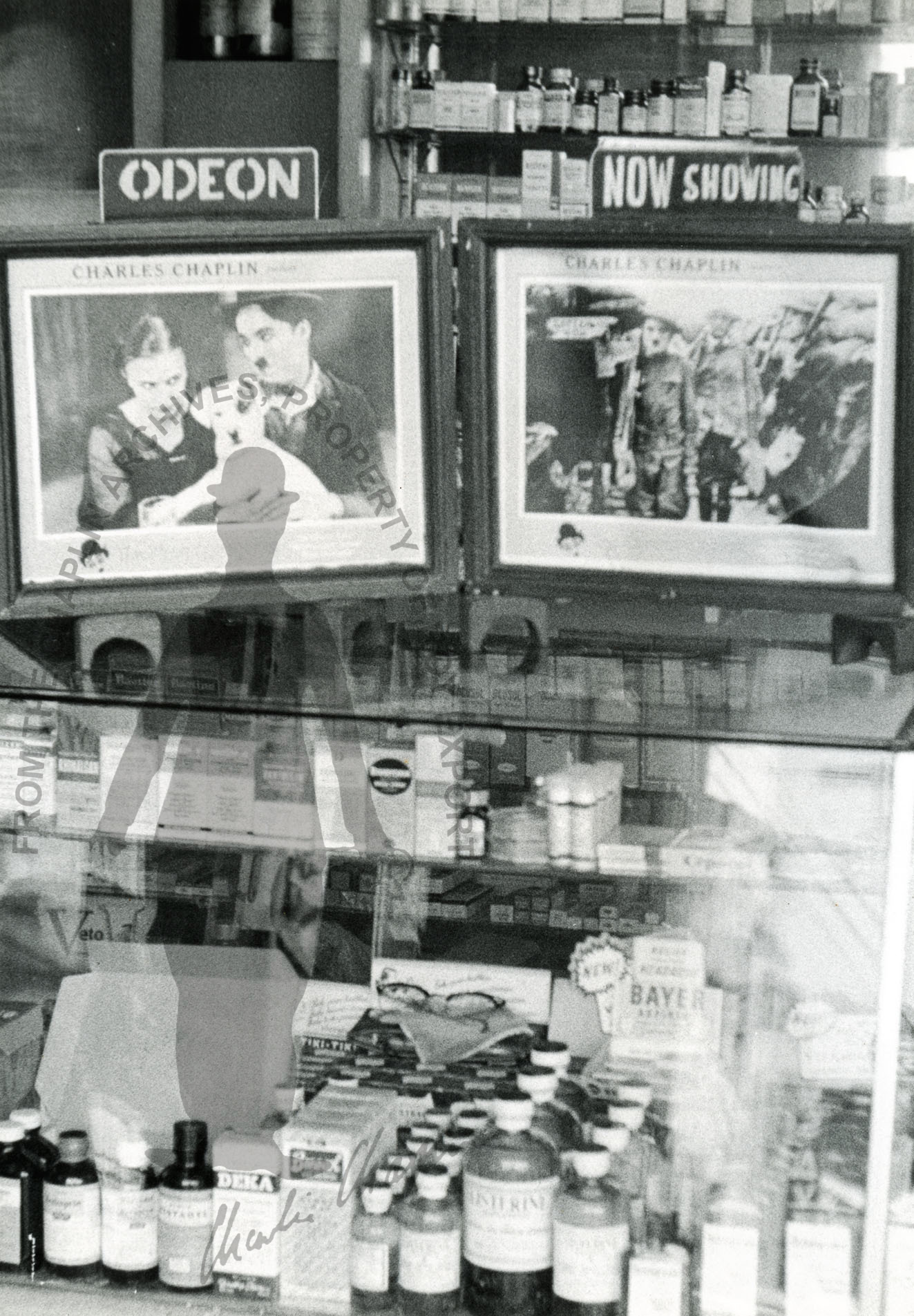 misc_0196.jpg