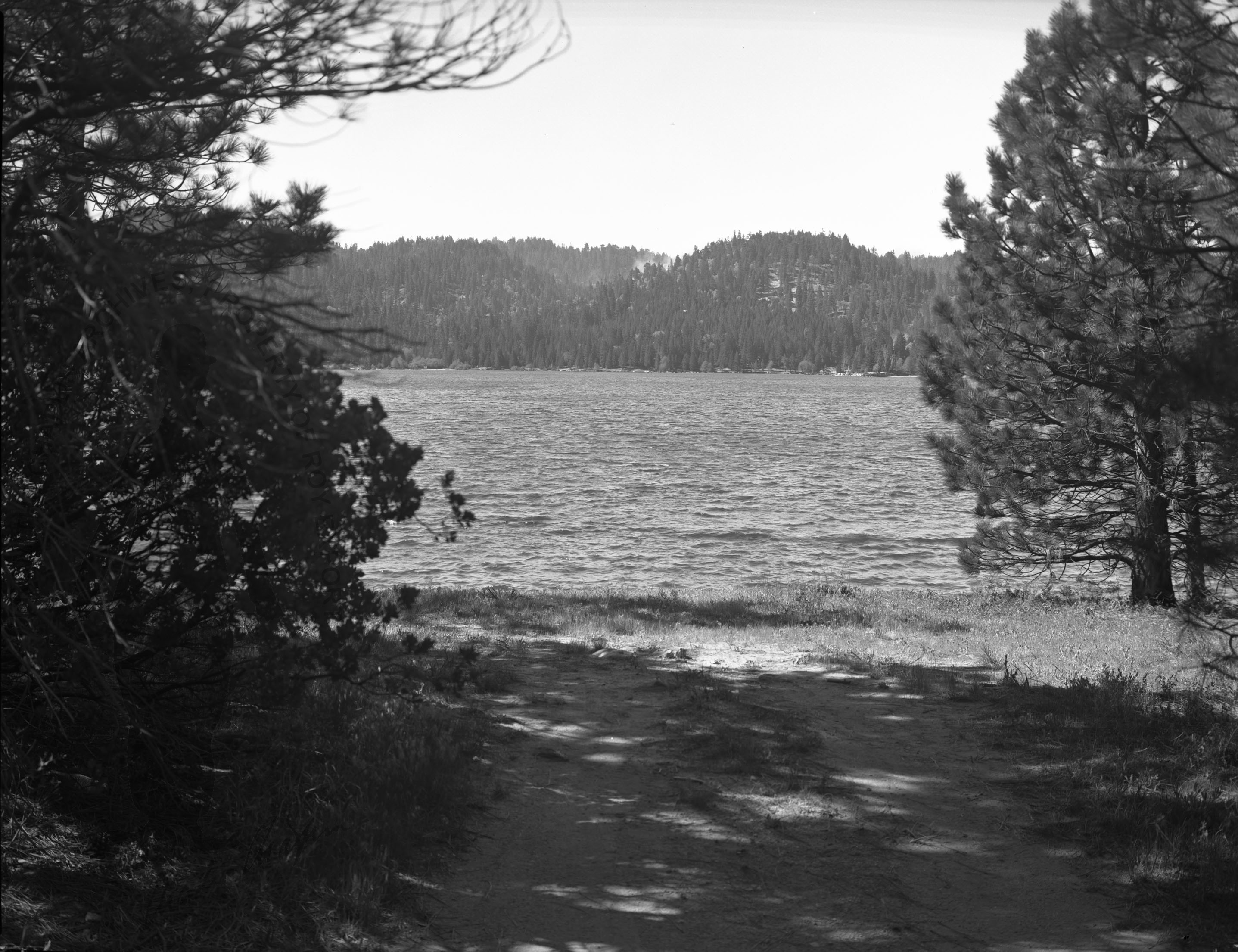 mv_0147.jpg
